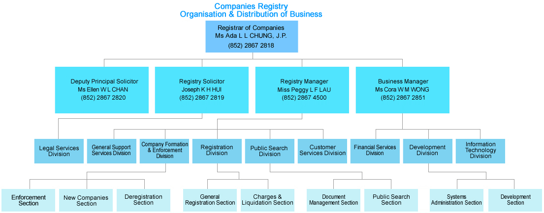 Chart of Organisation & Distribution of Business