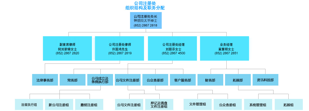 组织结构及职务分配图