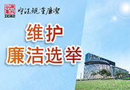 维护廉洁选举 (在新视窗开启连结)
