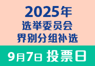 2025选举委员会界别分组补选 (在新视窗开启连结)